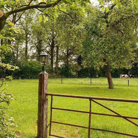 Vakantieboerderij 'op Den Poetter' Tatil Evi Lievelde